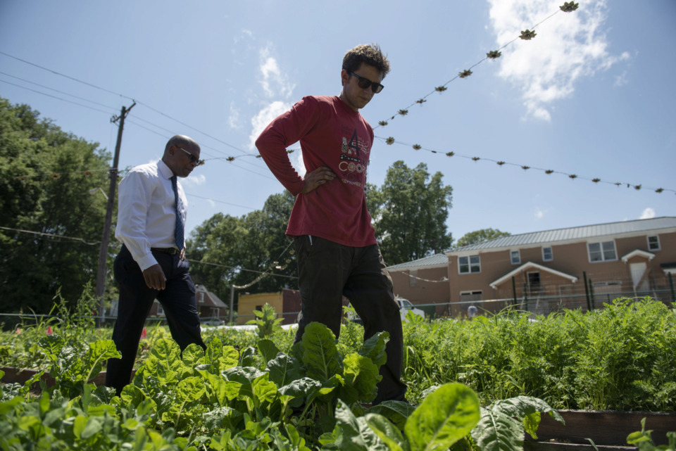 What should be done with Memphis’ 56 square miles of vacant land?